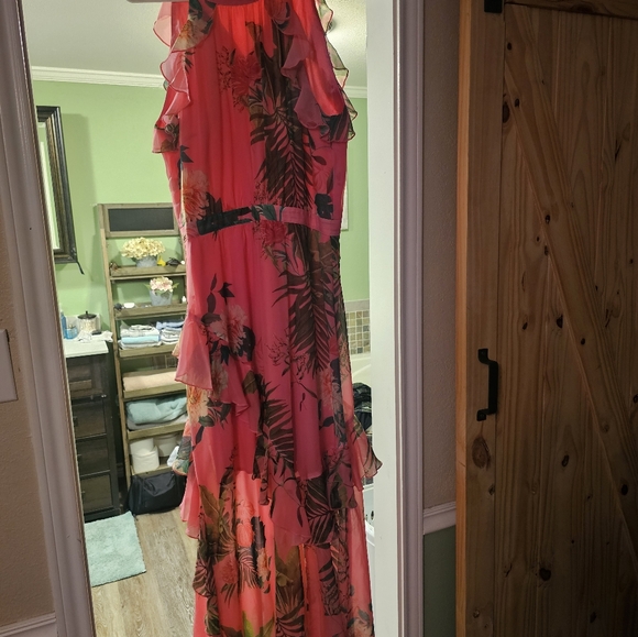 Alex Marie maxi dress - Picture 2 of 3